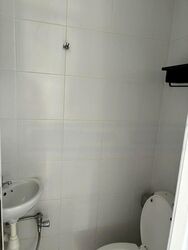 The Trizon (D10), Condominium #482352751